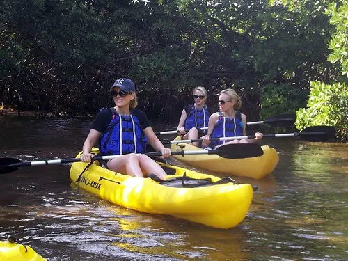 Kayaking in the Mangroves