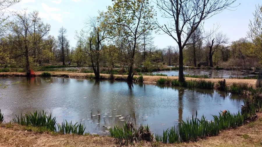 Kenilworth Aquatic Gardens