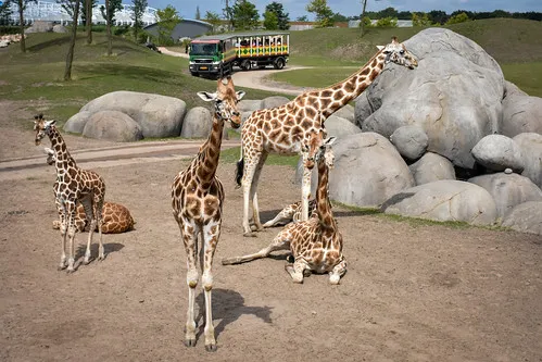 Kentucky Down Under Adventure Zoo