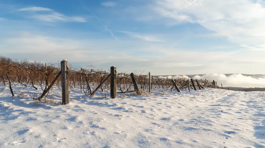 Keuka Lake Wine Trail