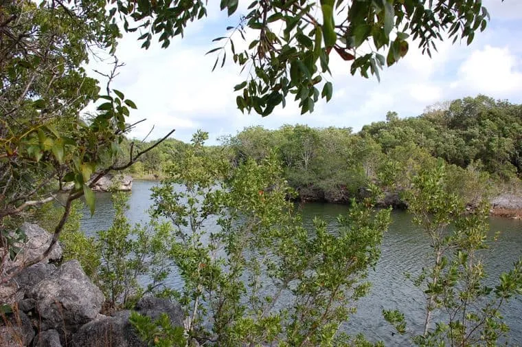 Key Largo Hammocks State Botanical Site
