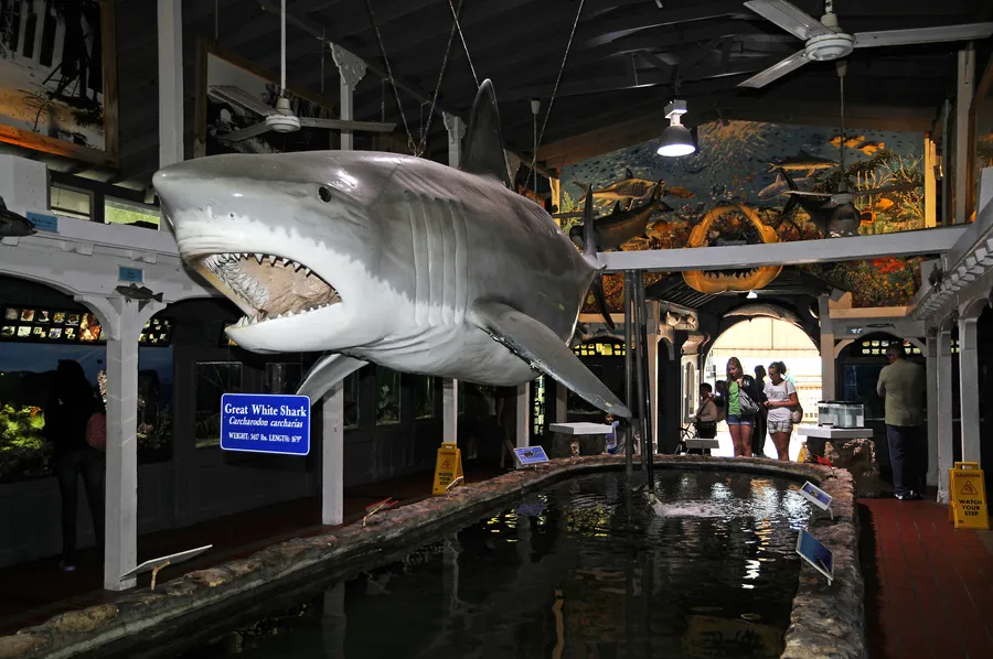 Key West Aquarium