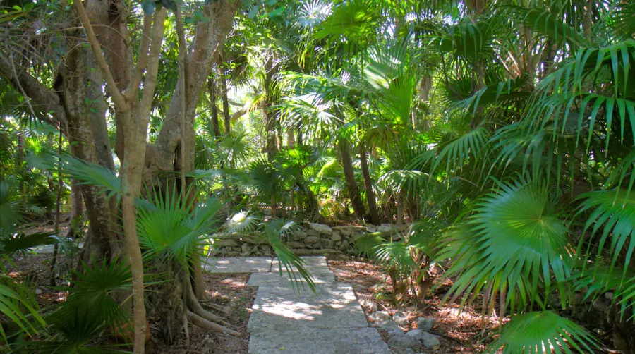 Key West Tropical Forest & Botanical Garden