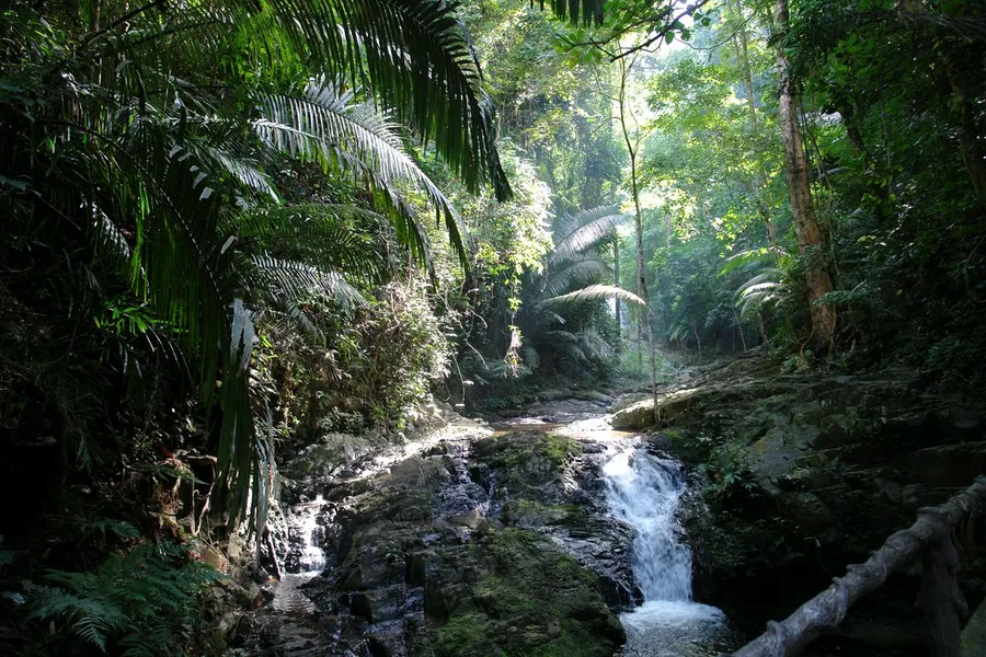 Khao Phanom Bencha National Park