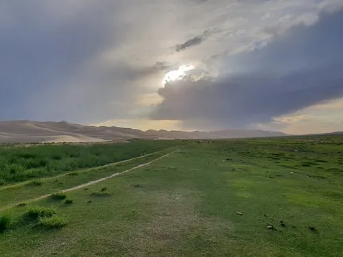 Khongoryn Els
