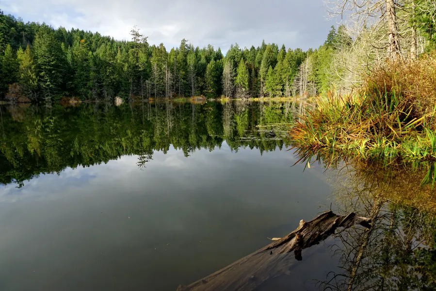 Killarney Lake