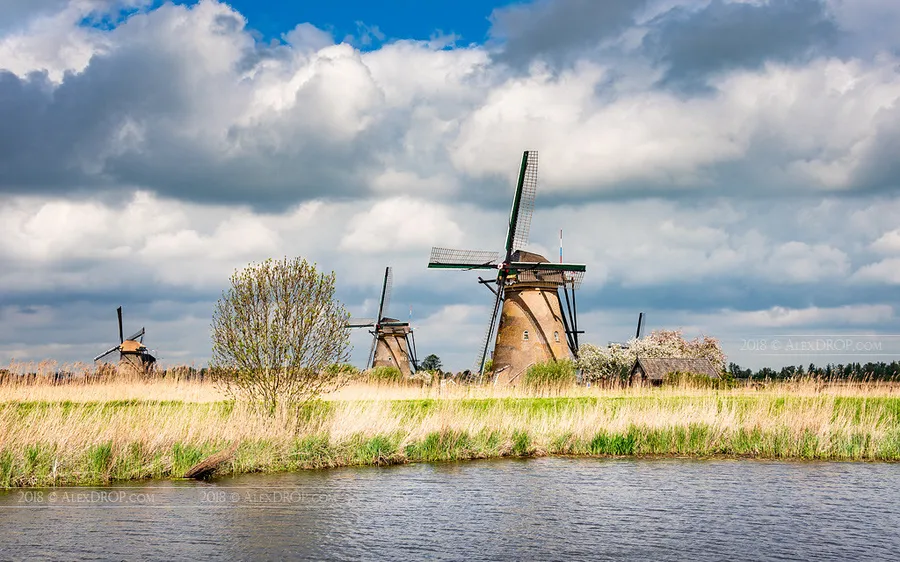 Kinderdijk Windmills