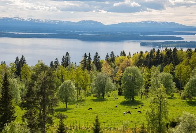 Kindlahöjden Nature Reserve