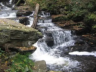 Kitchen Creek Falls