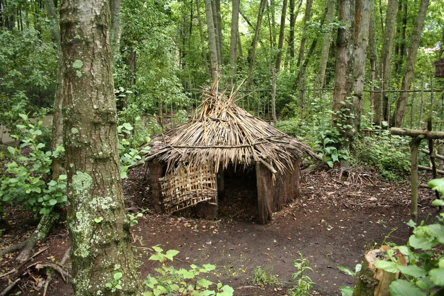 Kiwi Birdlife Park