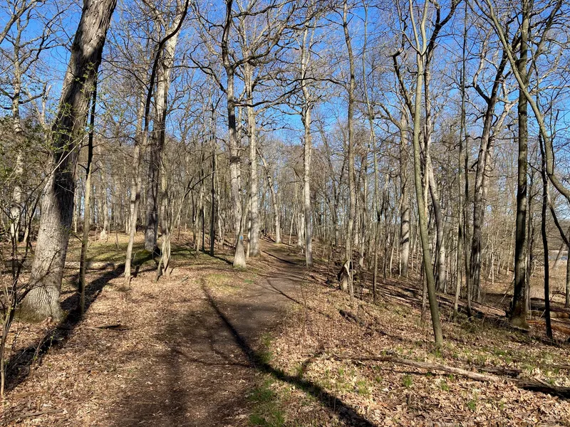 Kleinstuck Preserve