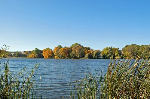 Knieperteich