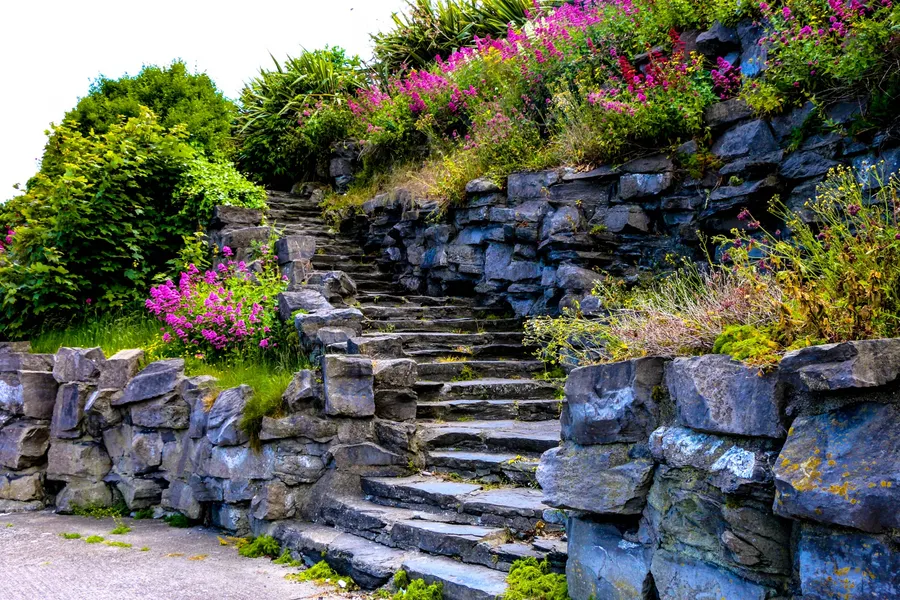 Knockaverry Gardens