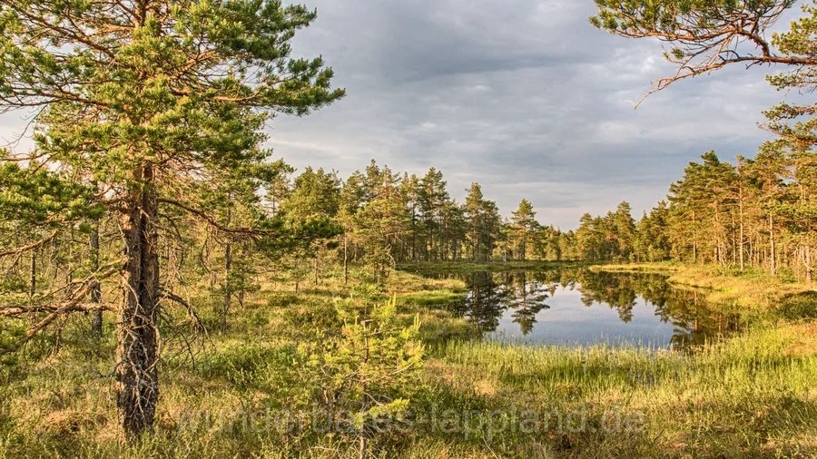 Knockemossen Nature Reserve
