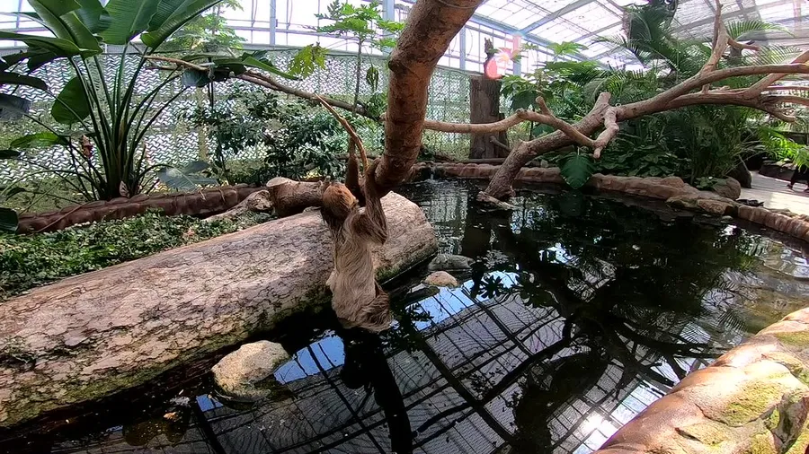 Kobe Animal Kingdom