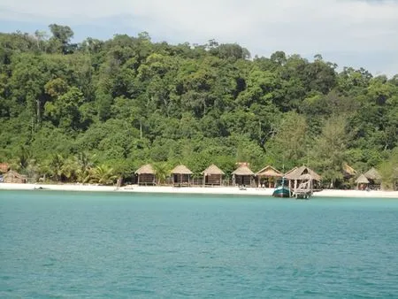Koh Rong Jungle Zoo