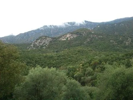Kolonos Hill