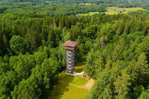 Korneti Manor Tower