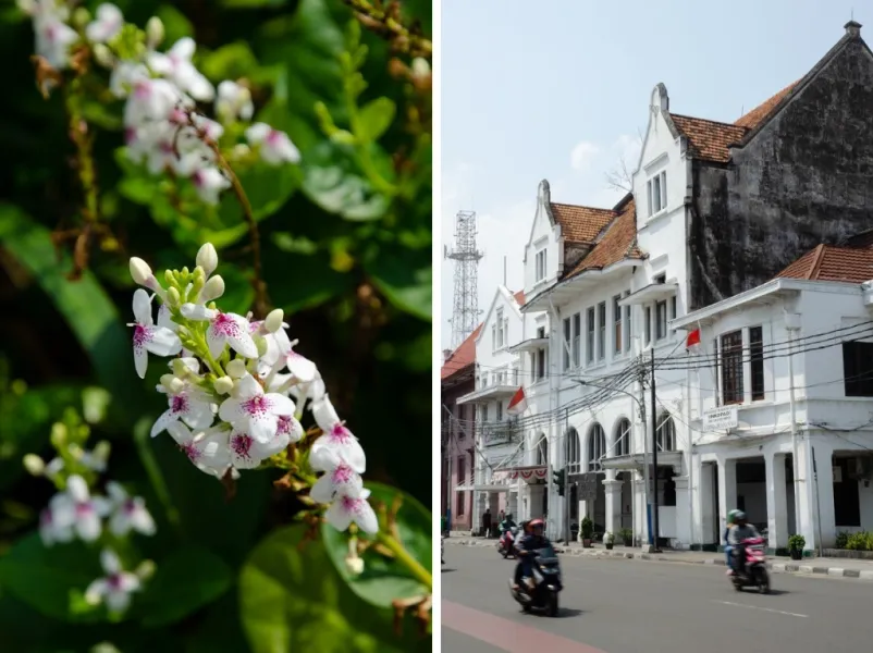 Kota Tua Jakarta