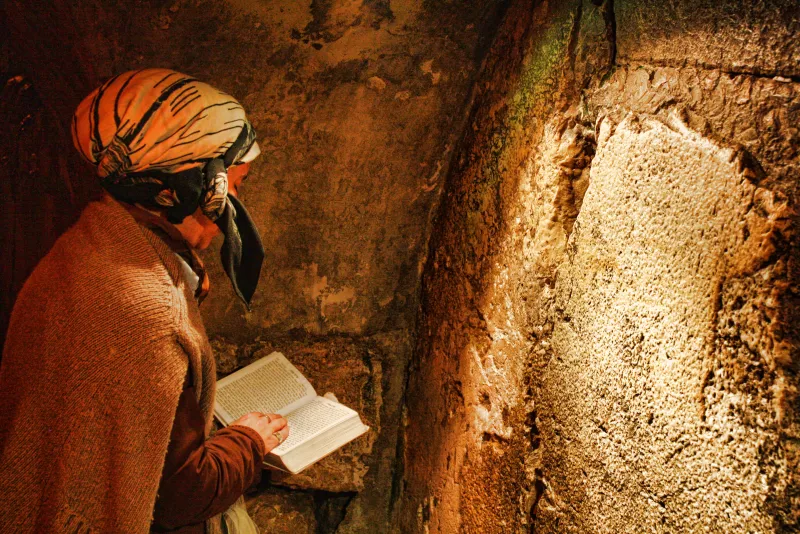 Kotel Natural History Museum