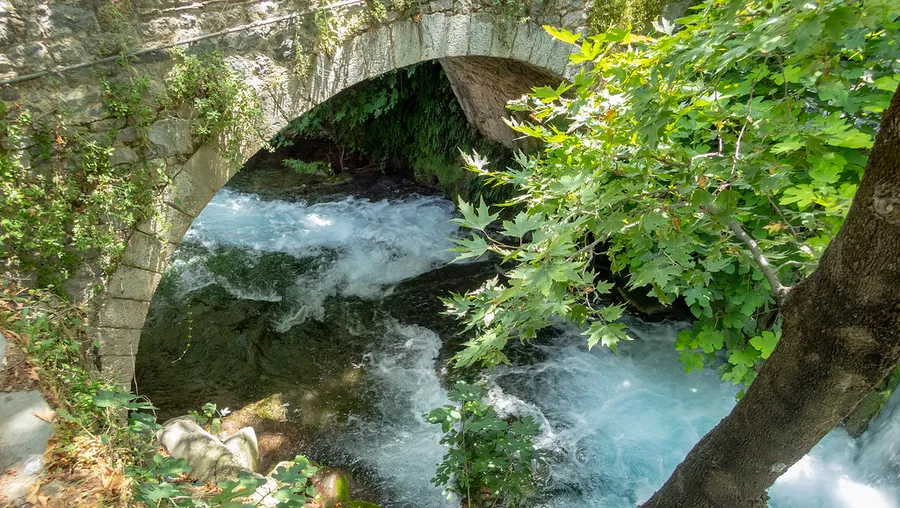 Krya Springs