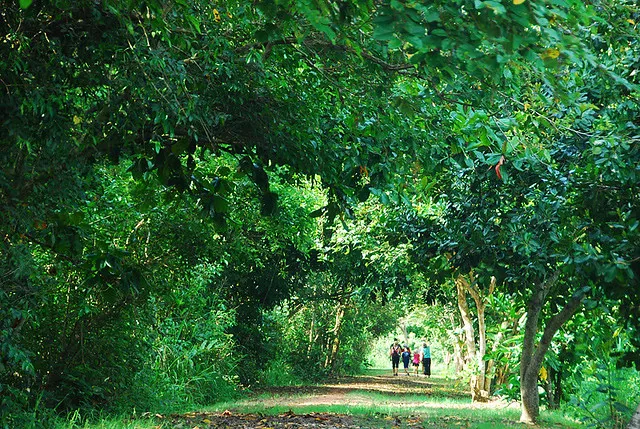 Kuala Selangor Nature Park