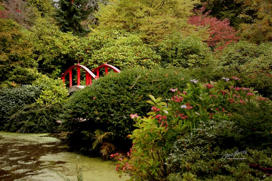 Kubota Garden