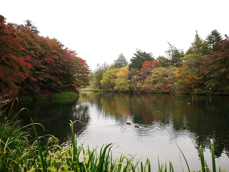 Kumobaike Pond