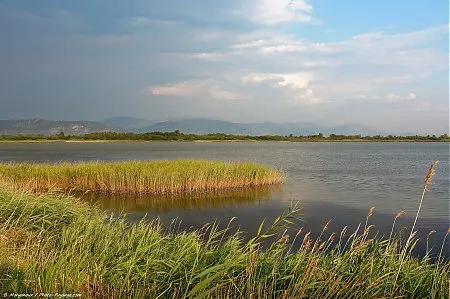 Kune-Vain-Tale Nature Reserve