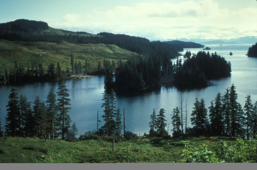Kupiškis Lagoon