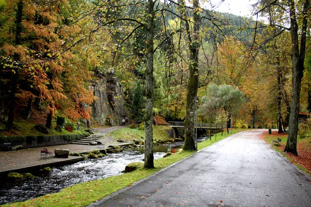 Kurpark Bad Wildungen
