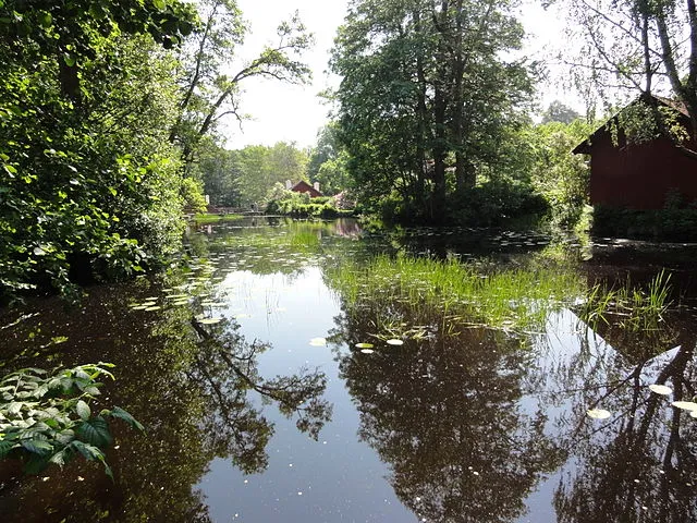 Kvarndammen
