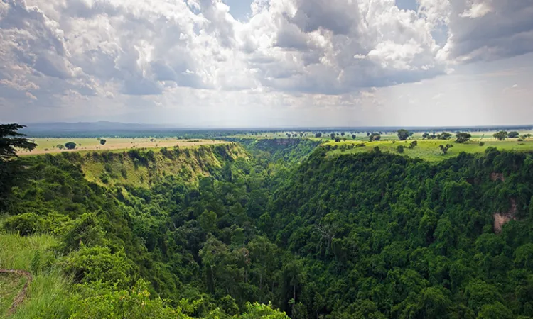 Kyambura Gorge Chimpanzee Trek