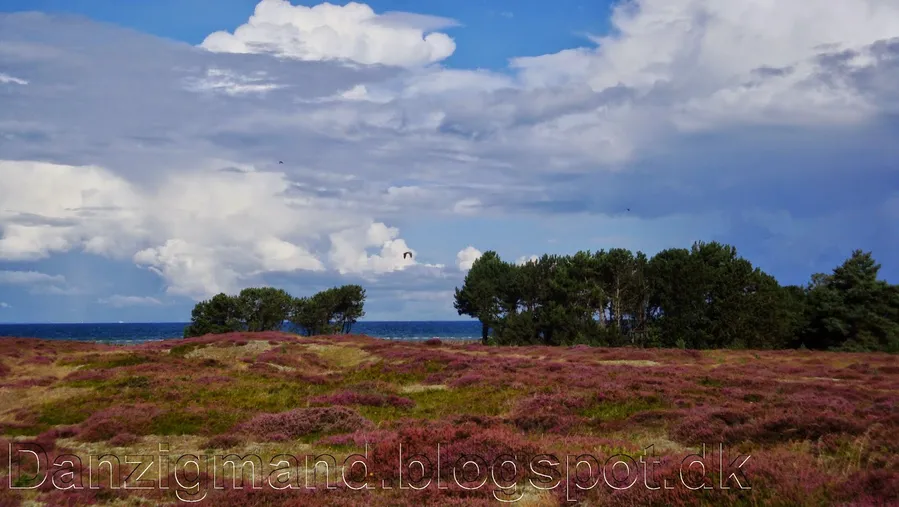 Læsø Kur