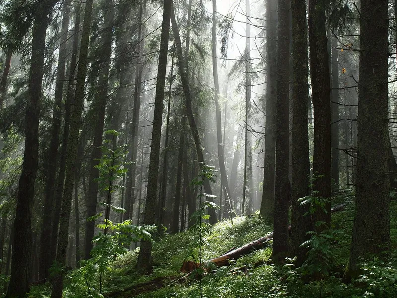 Līgatne Nature Trails