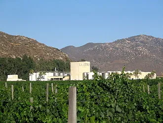 L.A. Cetto Winery