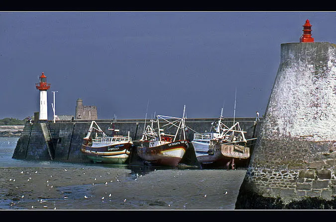 La Criée de Saint-Vaast-la-Hougue