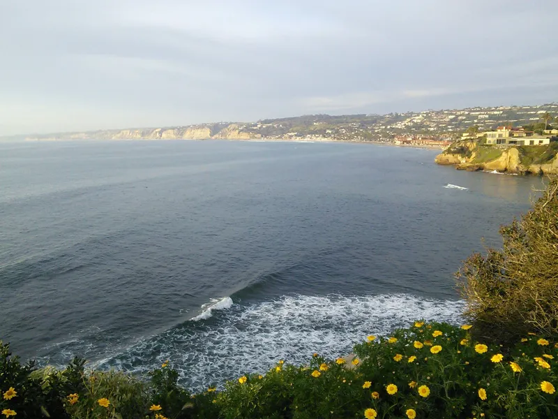 La Jolla Shores