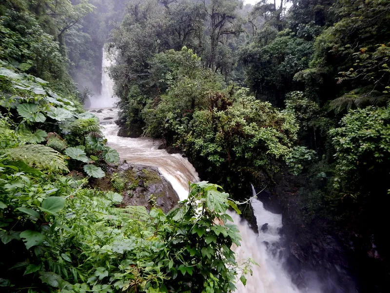 La Paz Waterfall Gardens
