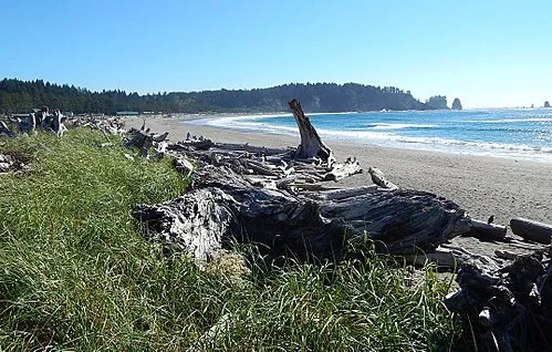 La Push Beaches (First, Second, and Third Beach)