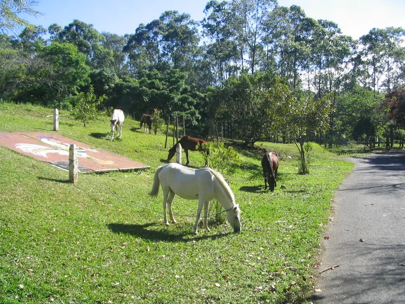 La Sabana Metropolitan Park