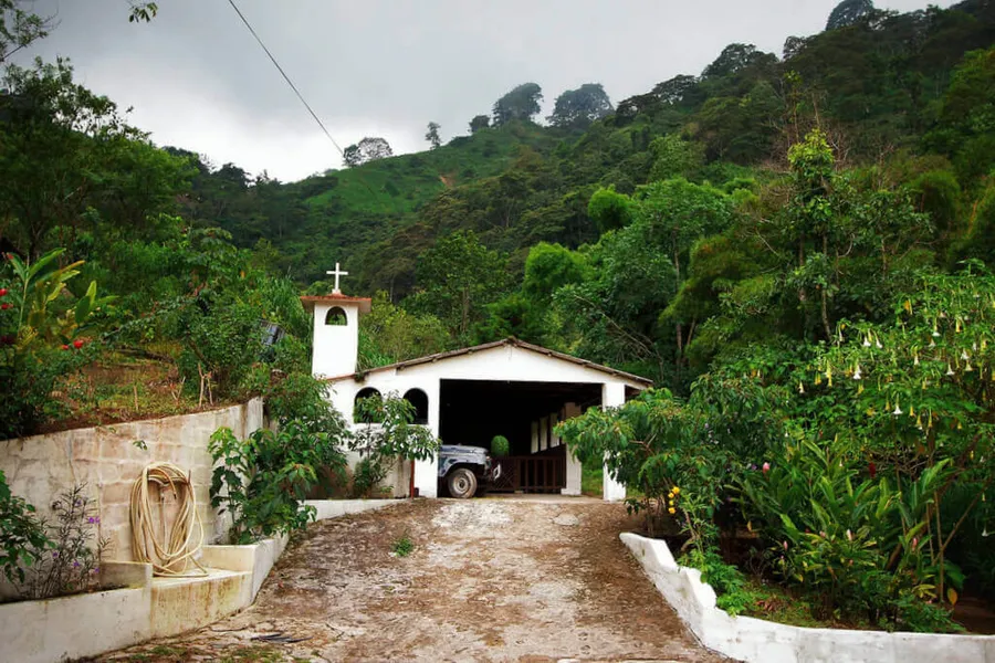 La Victoria Coffee Farm