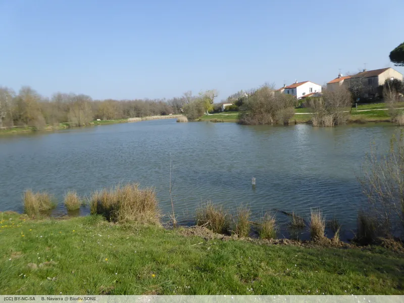 Lac Tranquille