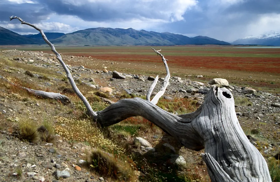 Lago Argentino