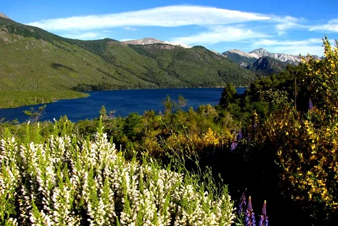 Lago Cholila