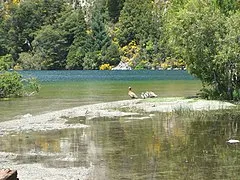 Lago Moreno