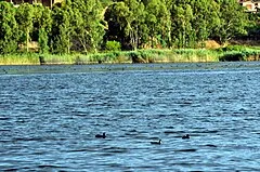 Lago di Pergusa