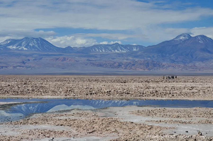 Laguna Chaxa