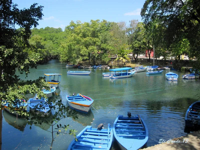 Laguna Gri Gri
