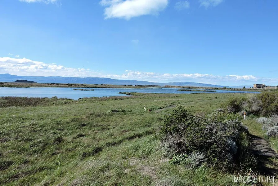 Laguna Nimez Reserve
